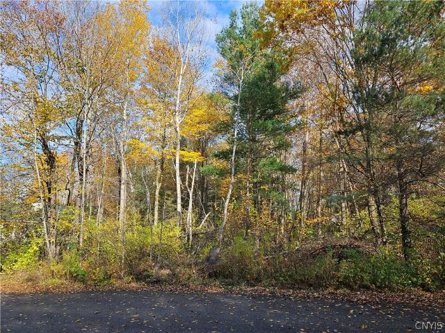 Land for sale in Cape Vincent, New York