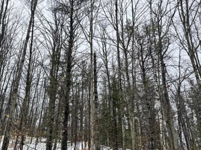 Land for sale in Frederic, Michigan