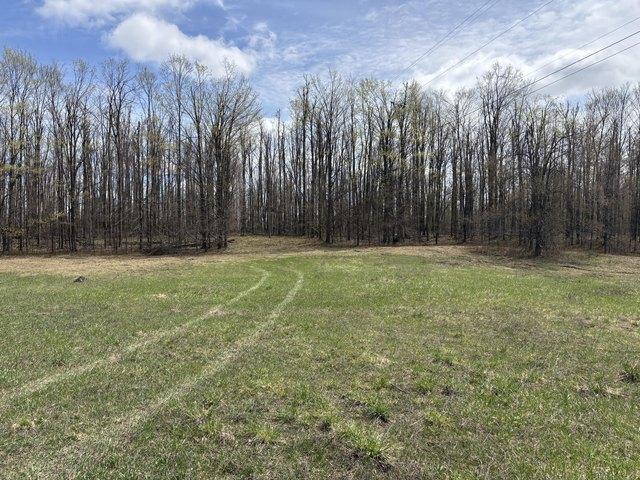 Land for sale in Gaylord, Michigan