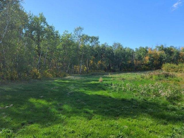 Land for sale in Bottineau, North Dakota