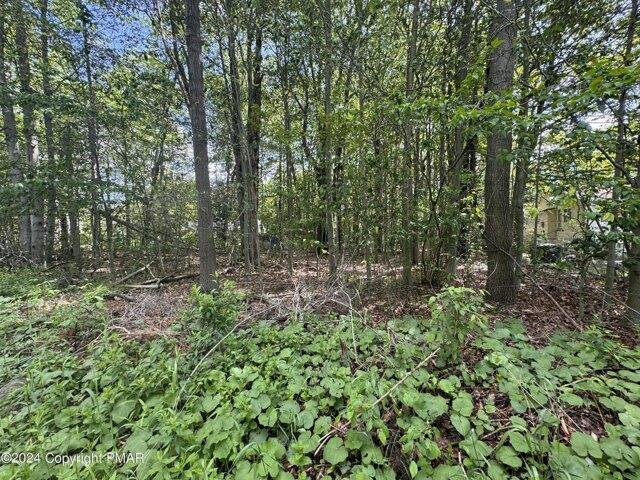 Land for sale in Pocono Summit Land for sale in Pocono Summit
