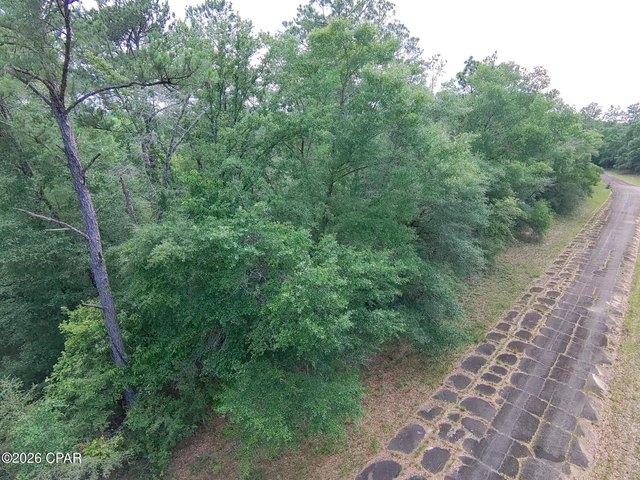 Land for sale in Chipley, Florida