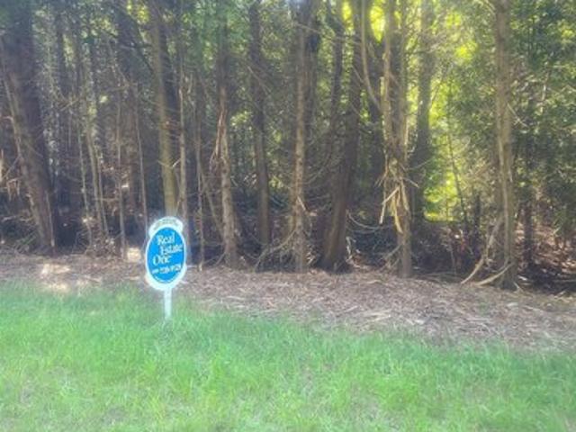 Land for sale in Oscoda, Michigan