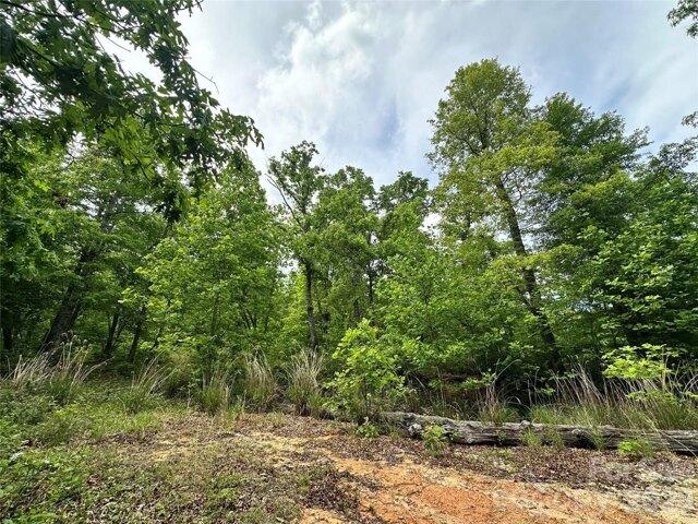 Land for sale in Black Mountain, North Carolina
