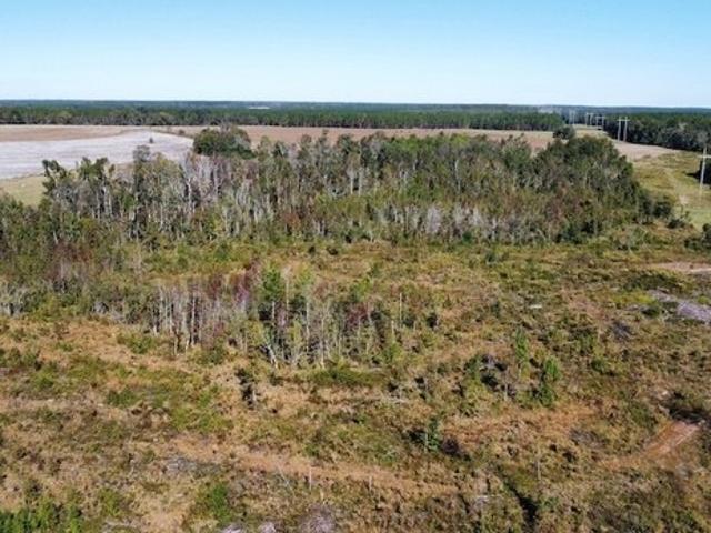 Land for sale in Swainsboro, Georgia