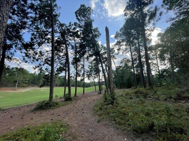 Land for sale in Graniteville Land for sale in Graniteville