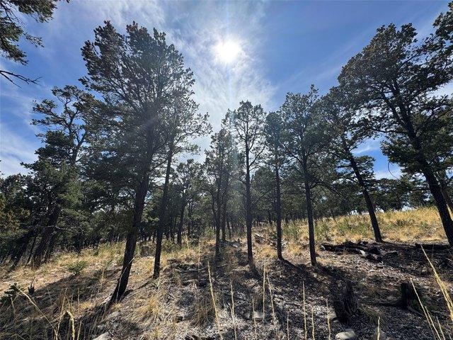 Land for sale in Pecos, San Miguel County