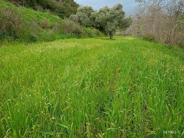 Ödemiş, İzmir içerisinde satılık mülk