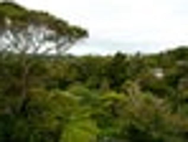 Apartment for rent in Wairau Valley, Oroua County