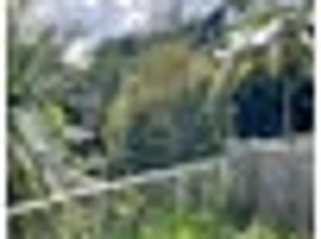 House for rent in Wairau Valley