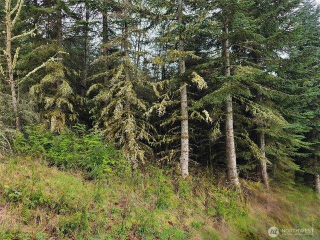 Land for sale in Mossyrock, Washington