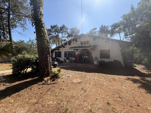 Maison vente à Mont-de-Marsan, Biscarrosse