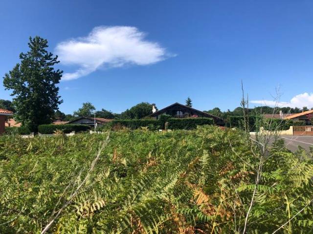 Terrain vente à France métropolitaine, Biscarrosse