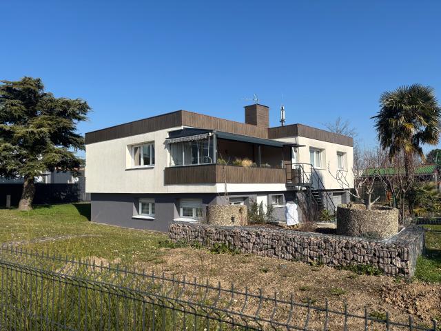 Bureau vente à Strasbourg, Bischheim