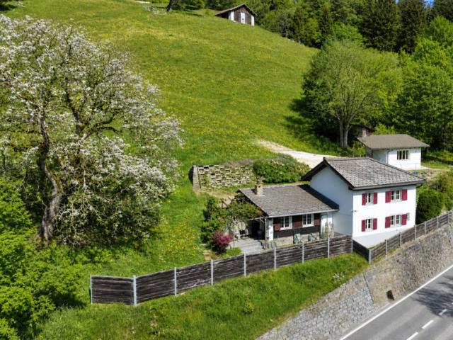 Einfamilienhaus kaufen in Schluein, Graubünden