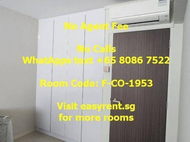 Room for rent