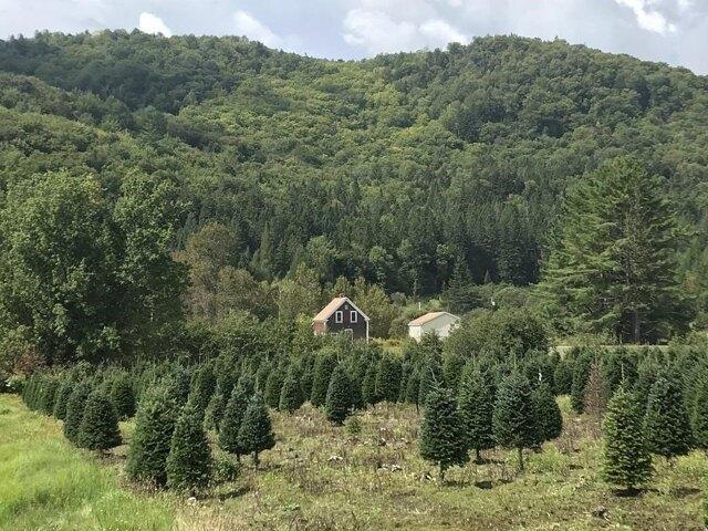 Land for sale in Stewartstown