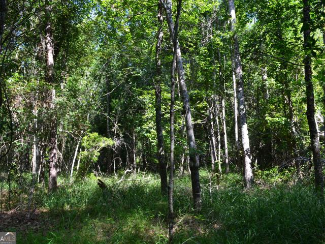 Land for sale in Midville, Georgia