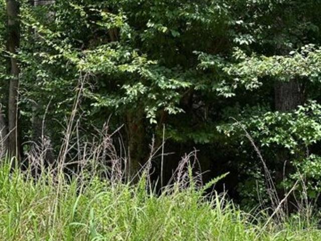 Land for sale in Virginia