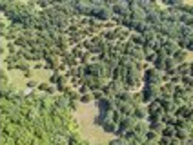 Land for sale in Wellston, Oklahoma