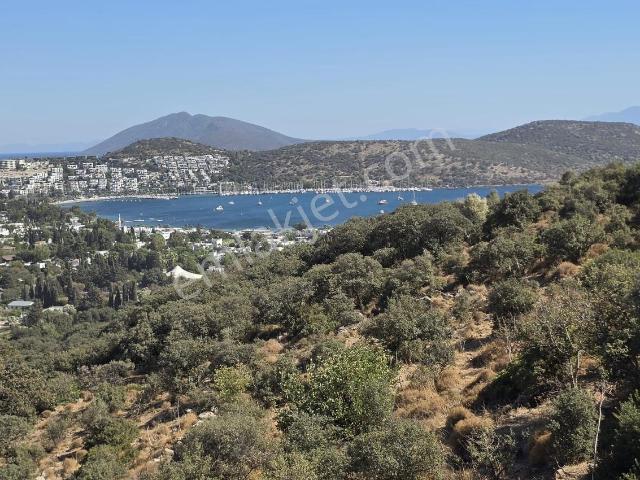 Bitez, Bodrum içerisinde satılık mülk