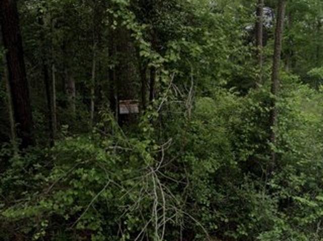 Land for sale in Shepherd, Texas