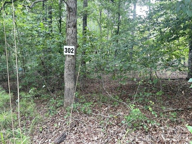 Land for sale in Rutherford, North Carolina