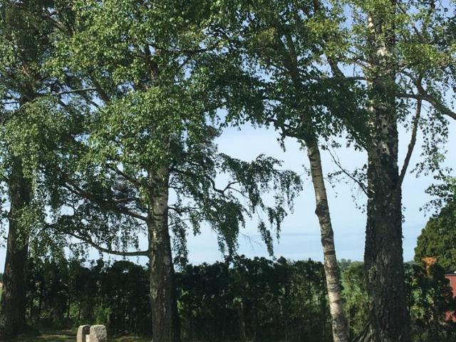 Hus hyra i Skåne