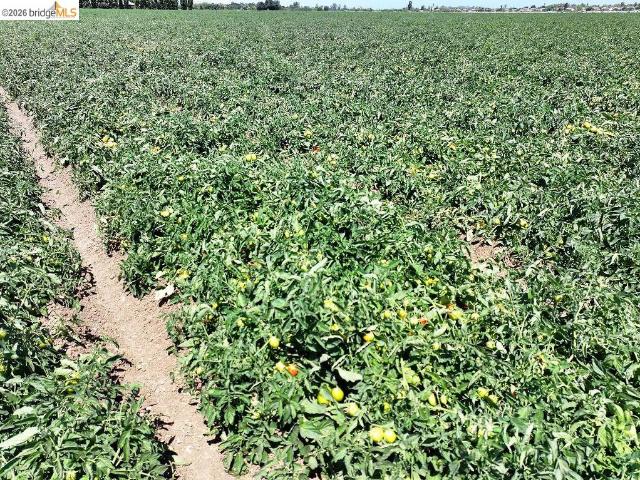 Land for sale in Byron, California