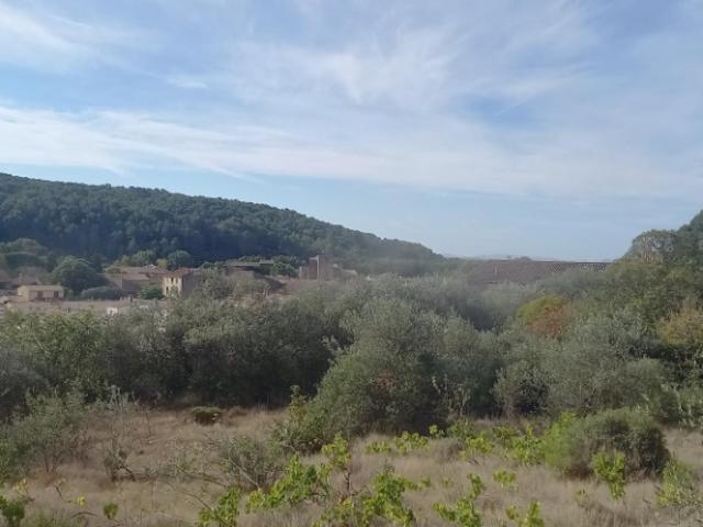 Terrain vente à Narbonne, Bize-minervois