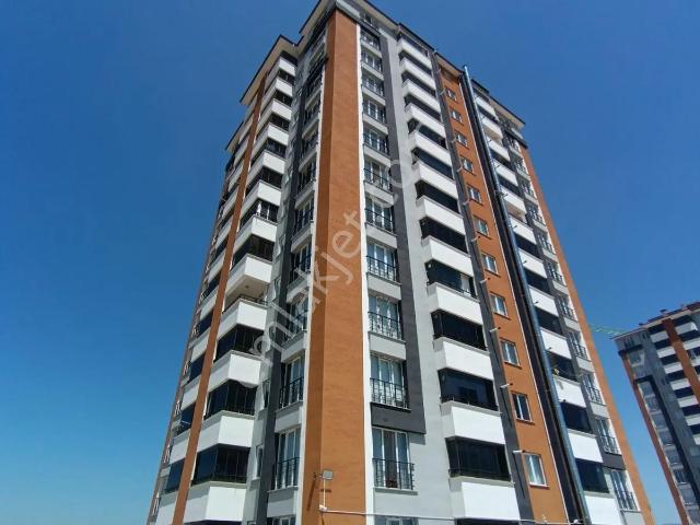 Kastamonu Merkez, Kastamonu içerisinde kiralık mülk