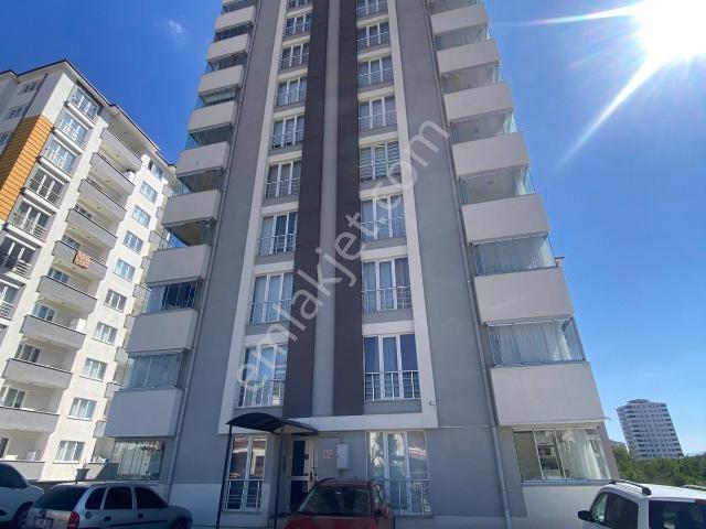 Kastamonu Merkez, Kastamonu içerisinde kiralık mülk