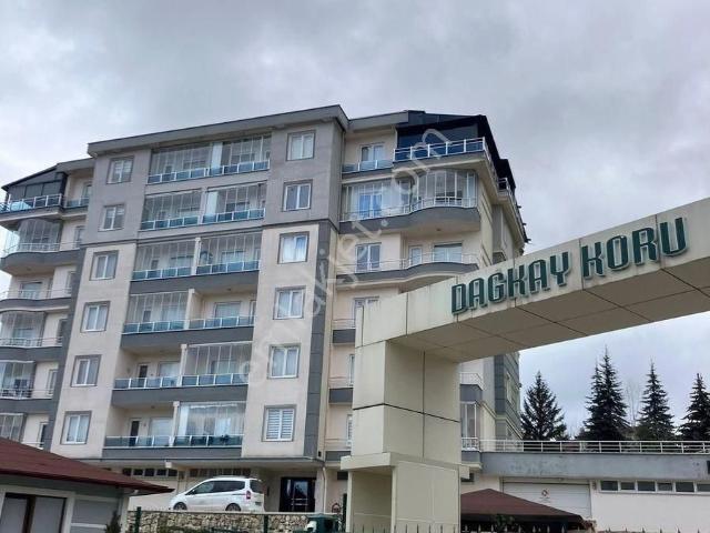 Kastamonu Merkez, Kastamonu içerisinde kiralık mülk