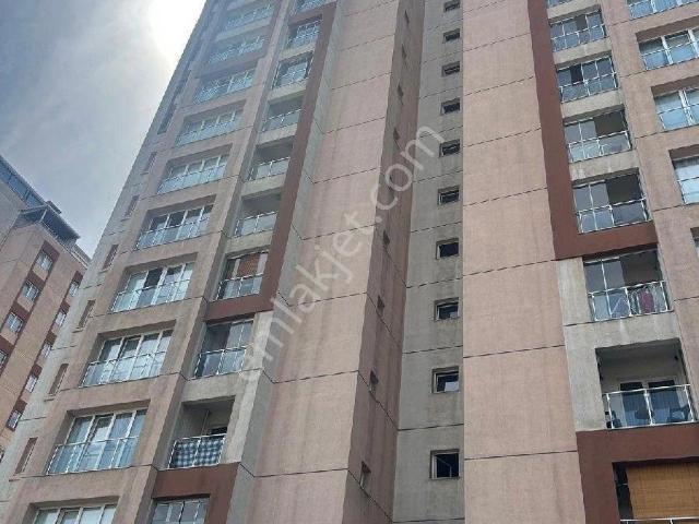 Avcilar, İstanbul içerisinde kiralık mülk