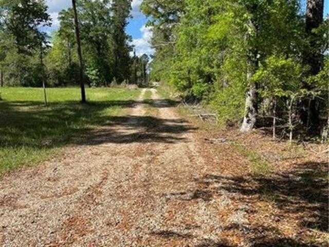 Land for sale in Independence, Louisiana