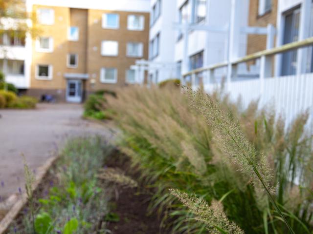 Hus hyra i Skåne