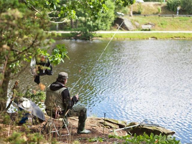 Lägenhet hyra i Partille, Västra Götaland
