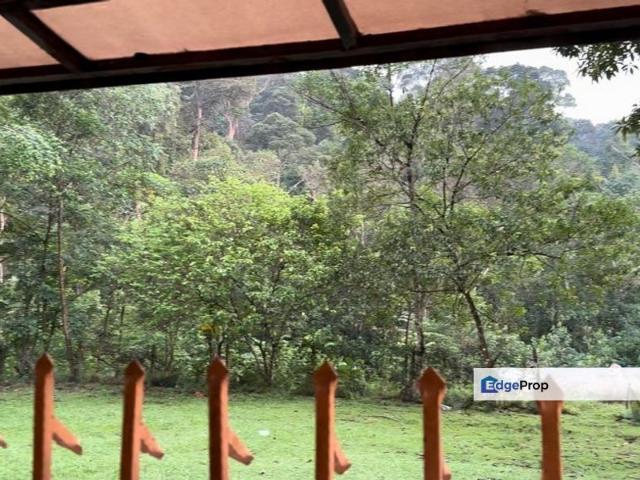 House for rent in Petaling, Subang Jaya