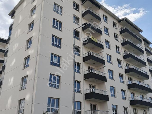 Sivas Merkez, Sivas içerisinde kiralık mülk
