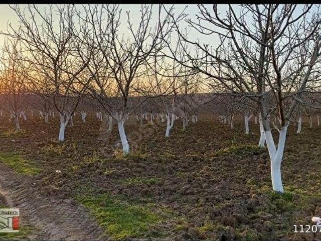 Yenişehir, Bursa içerisinde satılık Arsa