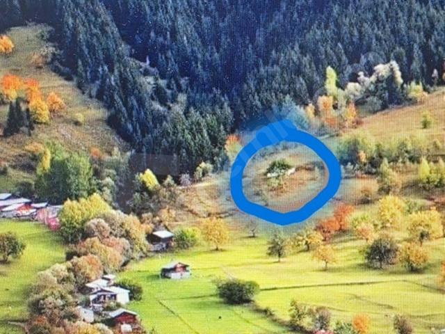 Taşbaşı, Şavşat içerisinde satılık Arsa