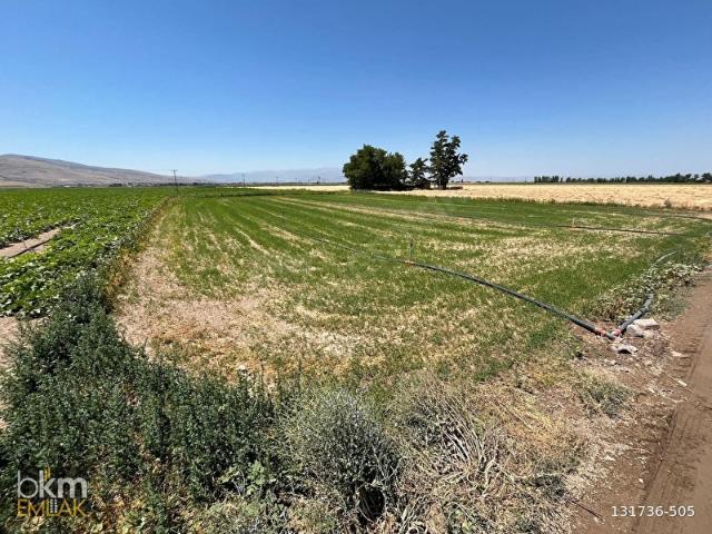 Develi, Kayseri içerisinde satılık Arsa