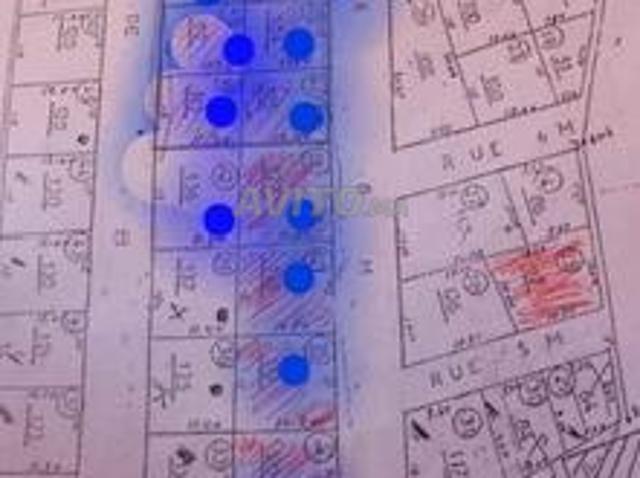 Propriété vente à Berkane
