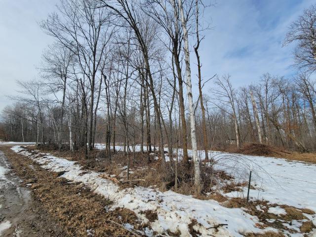 Land for sale in Motley, Minnesota