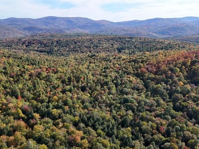 Land for sale in Jamaica, Vermont