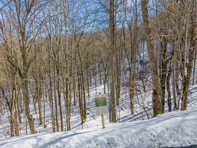 Land for sale in Yancey, North Carolina