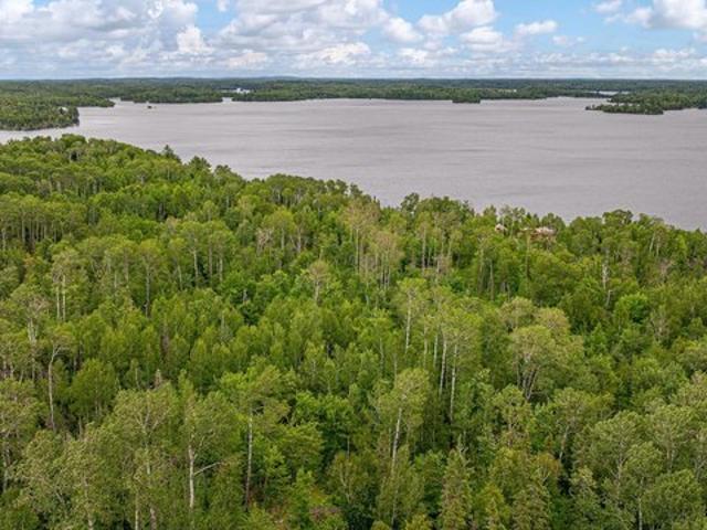 Land for sale in Ely, Minnesota