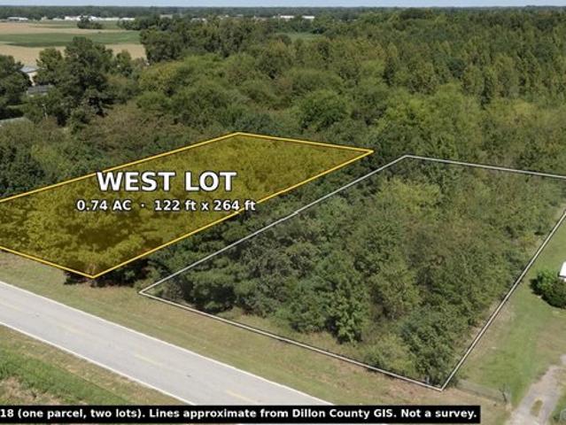 Land for sale in Dillon, Dillon County