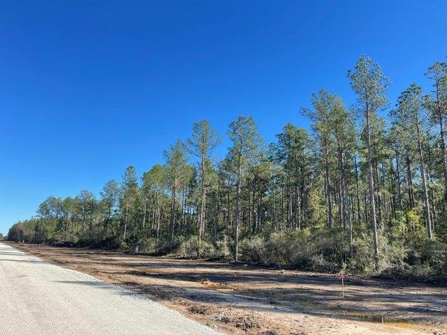 Land for sale in Sour Lake, Texas