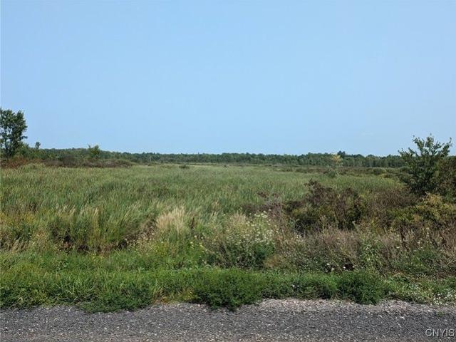 Farm for sale in Cape Vincent, New York